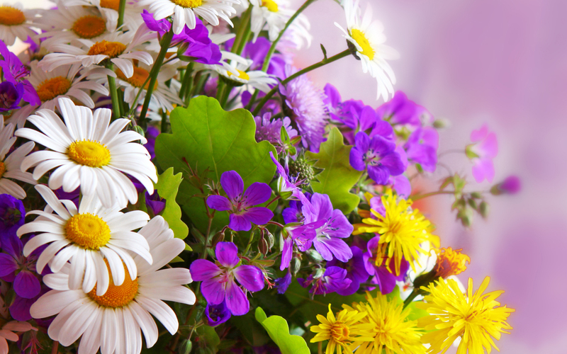 Sarisa Martin Dentist Testimonial Flowers 1