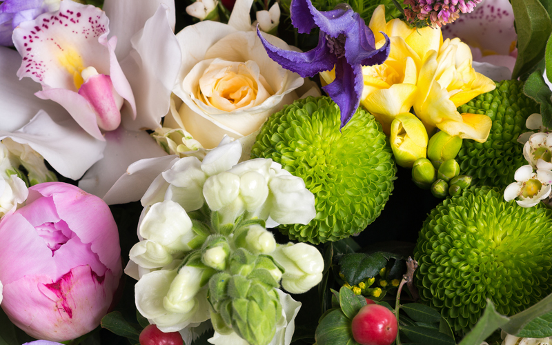 Sarisa Martin Dentist Testimonial Flowers 3