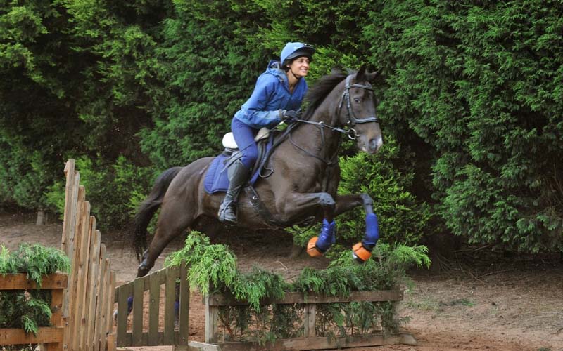Sarisa Martin Dentist on Horse